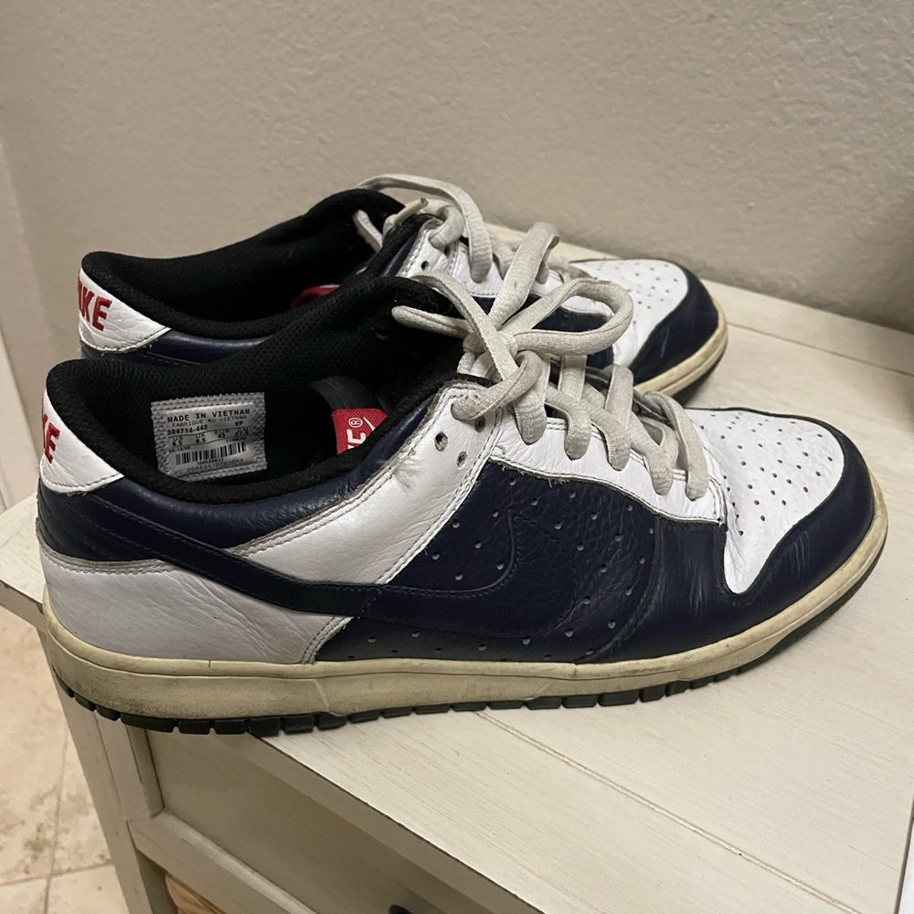 Nike Dunks 9.5